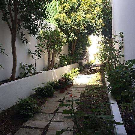 Βίλα Ίριδα Ψαρή Φοράδα Εξωτερικό φωτογραφία